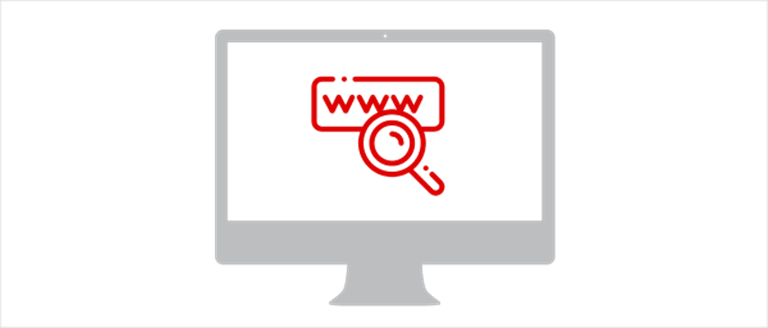Enter the website