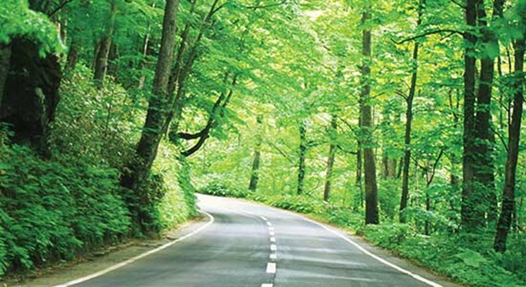 Environmentally responsible Environmentally responsible