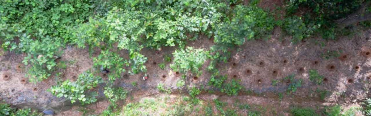 Protecting The Daintree Rainforest - With Recycled Tyres