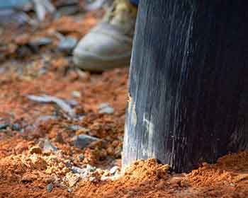 Protecting The Daintree Rainforest - With Recycled Tyres