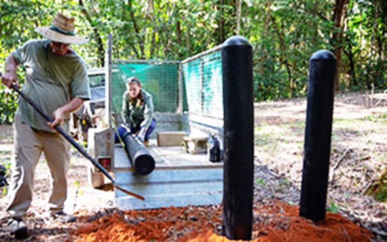 Protecting The Daintree Rainforest - With Recycled Tyres