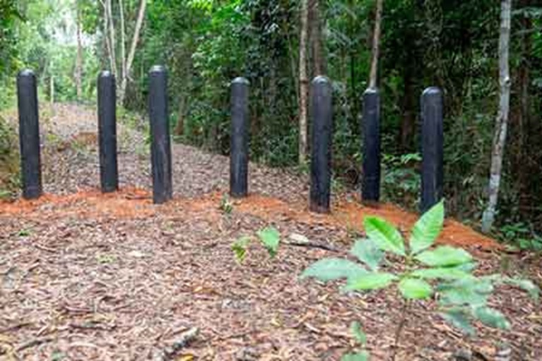 Protecting The Daintree Rainforest - With Recycled Tyres