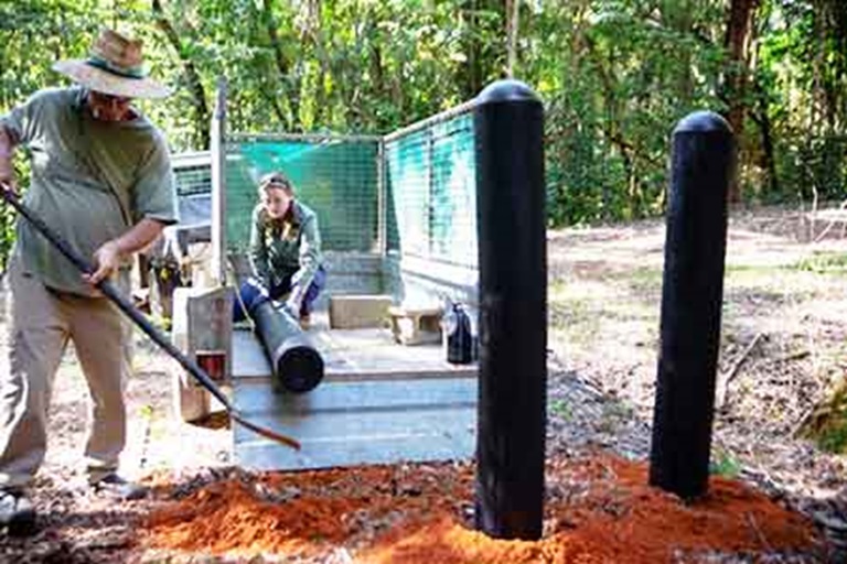 Protecting The Daintree Rainforest - With Recycled Tyres