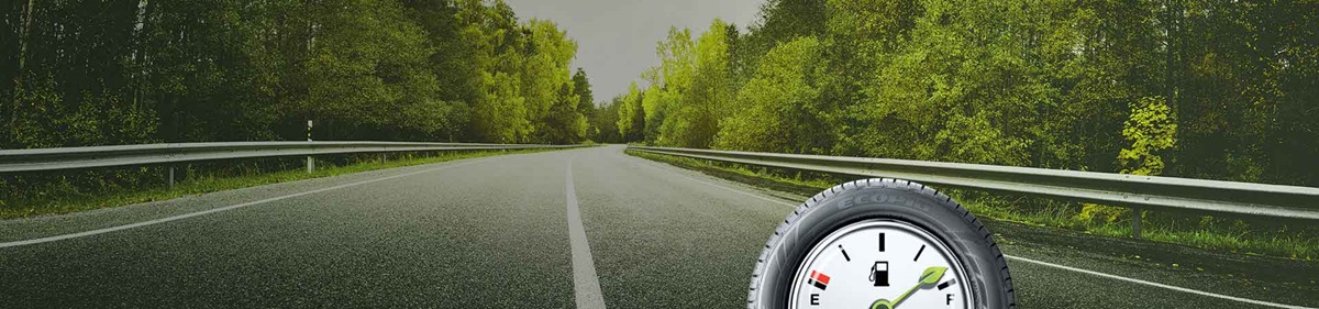 The Ecopia range of tyres, have fuel saving tyre technology designed for car, SUV and 4WD vehicles.