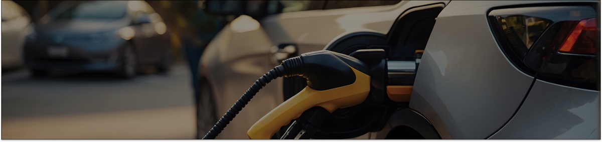 Hybrid & EV Auto Service