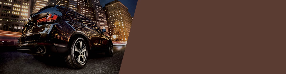 Bridgestone Alenza tyres