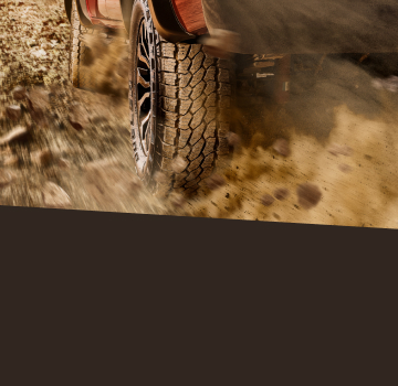 Bridgestone Dueler tyres