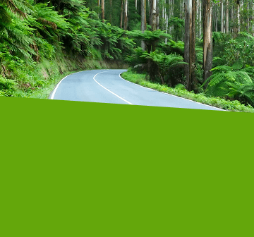 Bridgestone Ecopia Tyres