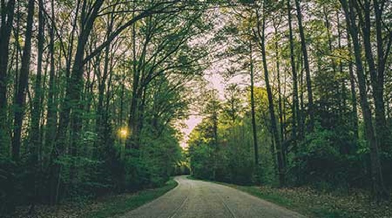 Ecopia Best SUV fuel saving tyres, with eco friendly technology for Ecopia tyres.