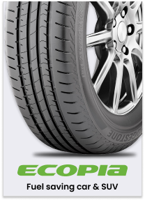 Ecopia