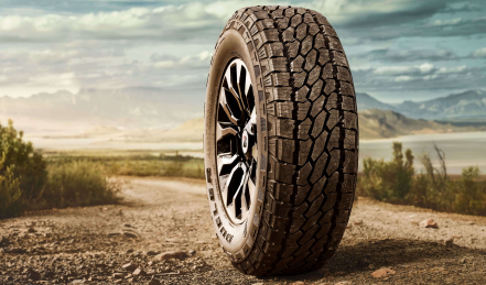 Bridgestone-All-Terrain-Tyres-AT002