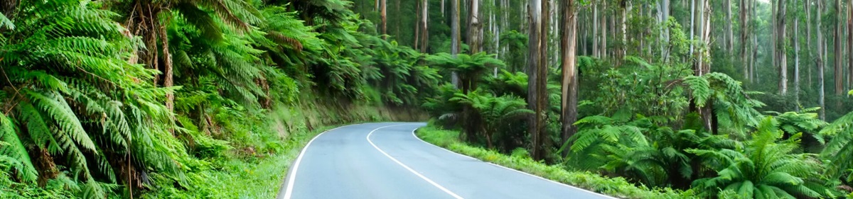 Bridgestone-Highway-Terrain-tyres