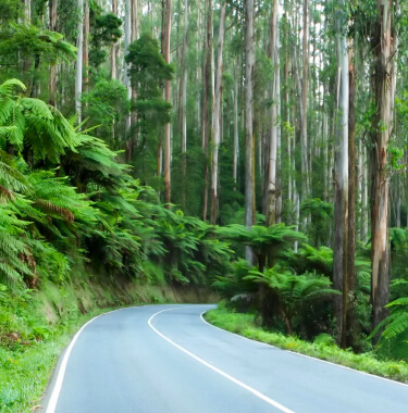 Bridgestone-Highway-Terrain-tyres