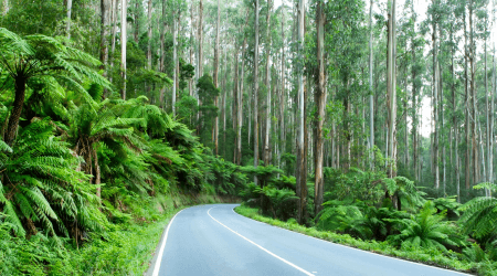 Bridgestone-Ecopia-Green-Highway-Terrain