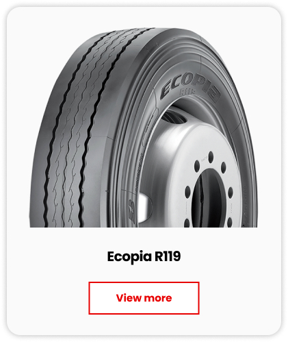 Ecopia R119
