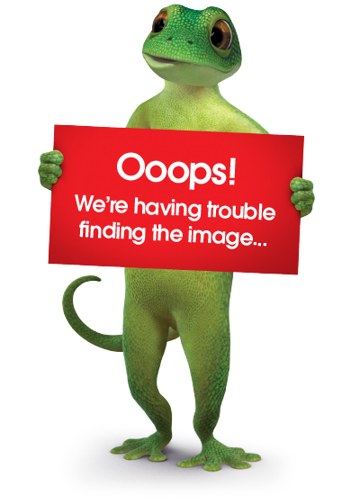 gecko-placeholder-tyre