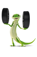 Gecko Hands with Tyres