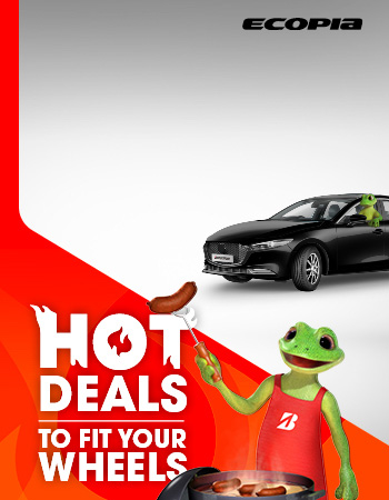 Fuel saving tyres for your summer road trip