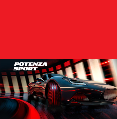 Bridgestone Potenza Sport