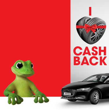 Up to $100 cashback