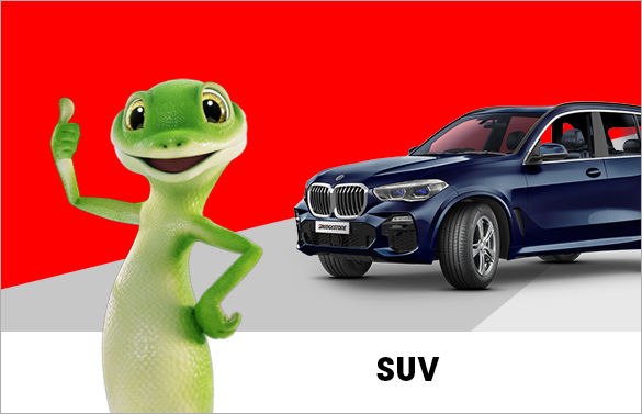 Up to $150 Cash Back on Bridgestone Alenza SUV tyres