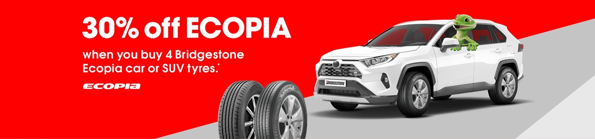 30% OFF on Ecopia tyres