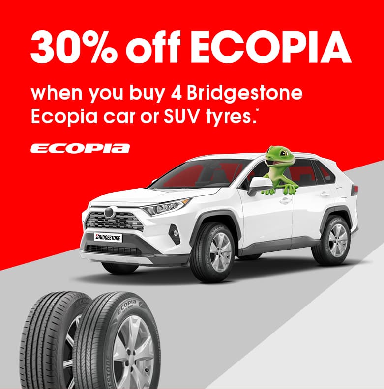 30% OFF on Ecopia tyres