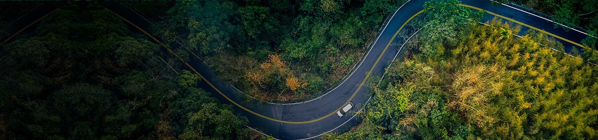 Browse, shop & buy tyres online from our range of car, SUV & 4WD tyres on sale. Image of road.