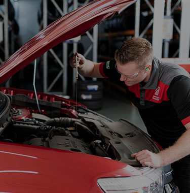 Transmission Flush and Fluid Change