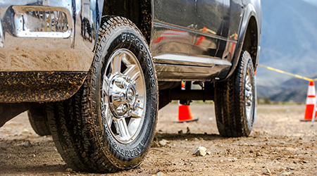 Firestone Firestone