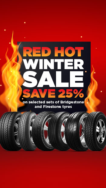 RED HOT WINTER SALE – SAVE 25%