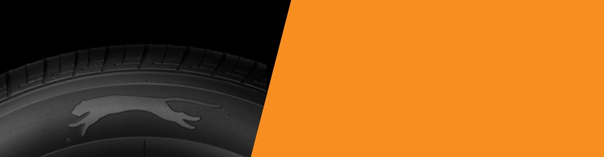 Supercat Hero Banner Desktop