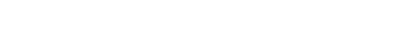 Bridgestone Footer Logo